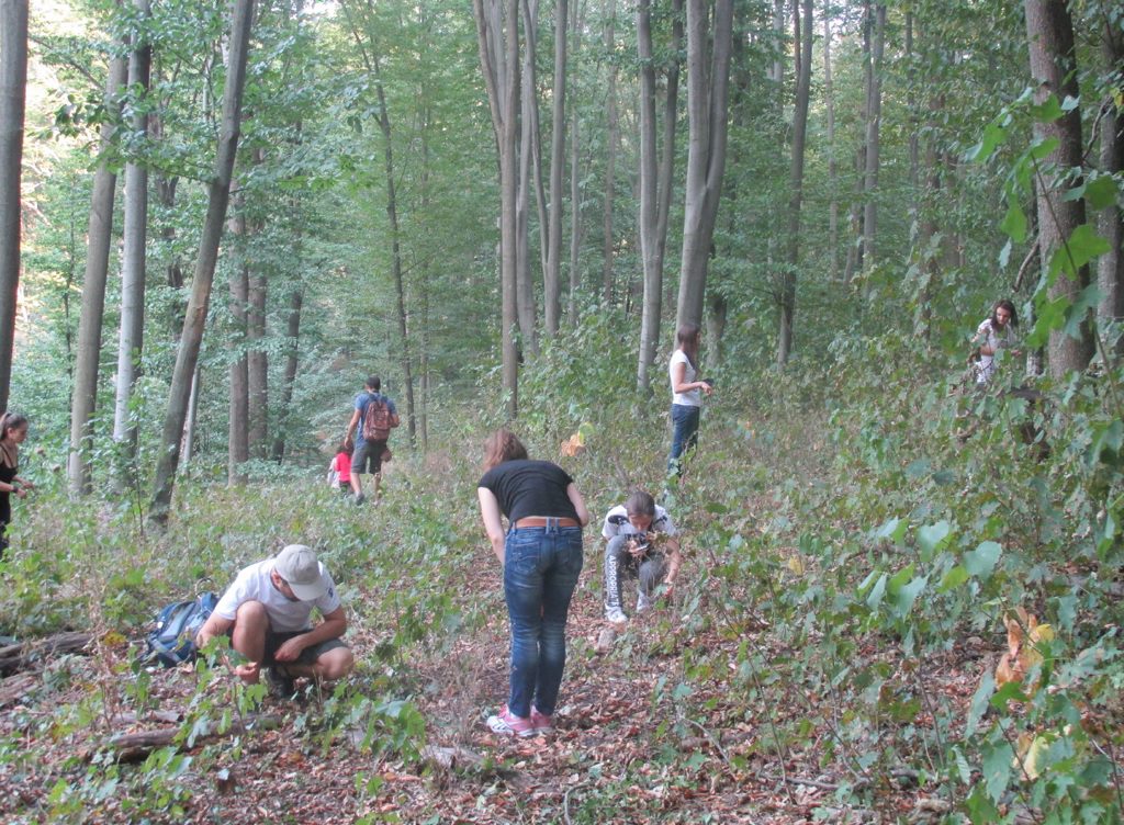 Participants of the Codru Quest project exploring biodiversity in the Codru forest.